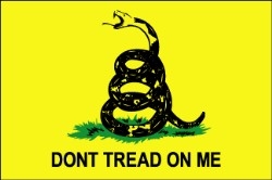 Historical Gadsden Nylon Flag