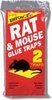 Rat Trap - Glue