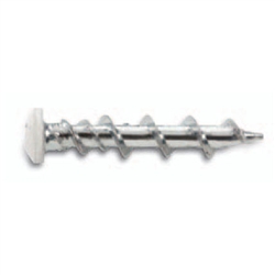 3/16" x 1-1/4" Wall-Dog (Oval White)
