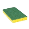 Scrubbing Sponge - Medium