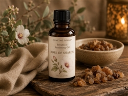 Rose of Sharon Botanical Anointing Oil handcrafted with organic extra virgin olive oil and labdanum (Cistus ladaniferus) essential oil