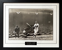 Boston Red Sox Ted Williams 15x18 print and decorative plate