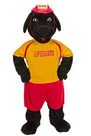 Buddy the Lifeguard Dog Rental