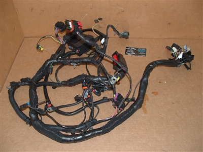 08 Victory Complete Main Harness ASM