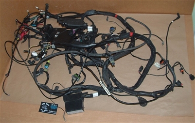 2010 Victory Cross Country Main Wiring Harness ASM