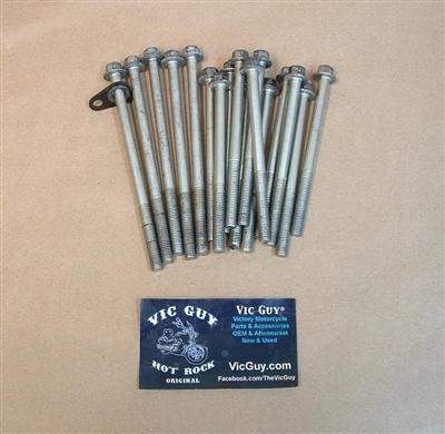 Victory Crankcase Bolts - 17 pc set