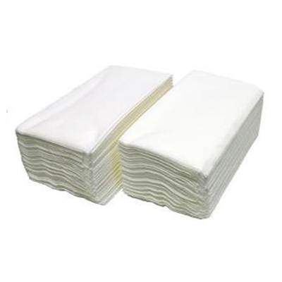 Sugar Cane White Dinner Napkin- 3000/case