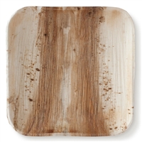 Palm Leaf 10" Square  Dinner Plate 100 pack