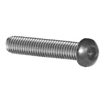 Stainless Steel Rounded Head Screw M6