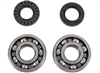 YAMAHA YZ125 2005-2026 CRANKSHAFT BEARINGS AND SEALS KIT BY MOOSE