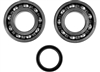 SUZUKI RMZ250 2004-2006 CRANKSHAFT BEARINGS AND SEAL KIT BY MOOSE