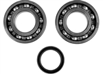 SUZUKI RMZ250 2004-2006 CRANKSHAFT BEARINGS AND SEAL KIT BY MOOSE