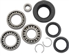 HONDA FOREMAN 500 FM FE TM 2005-2011 REAR DIFFERENTIAL BEARING AND SEAL KIT
