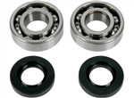 KAWASAKI KX100 1995-2021 CRANKSHAFT BEARINGS AND SEALS KIT BY MOOSE