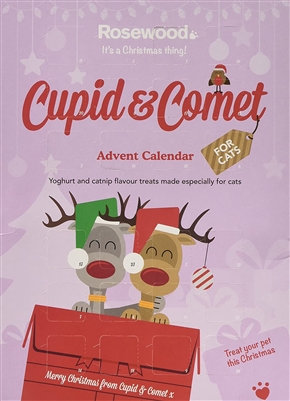 Advent calendar for cats