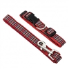 Tartan Leashes and Collars