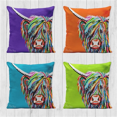 Steven Brown Designer Cushions  Rainbow Rab