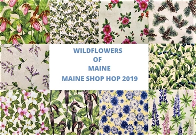 Wildflowers of Maine Collection