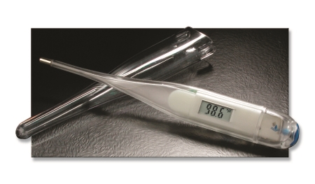Thermomètre digital médical standard