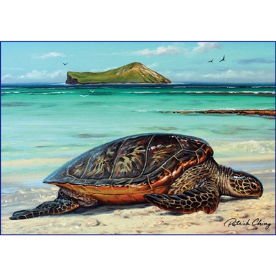 Honu Beach Note Cards