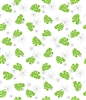 Monstera Nui Green Cello Wrap - 30" x 10' (120") continuous roll