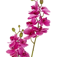 Artificial Real Touch Orchid - Double Spray with Leaves - Lavender