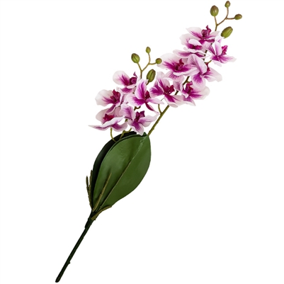 Artificial Real Touch Orchid - Double Spray with Leaves - Pink