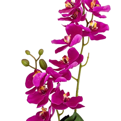 Artificial Real Touch Orchid - Double Spray with Leaves - Purple