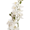 Artificial Real Touch Orchid - Double Spray with Leaves - White