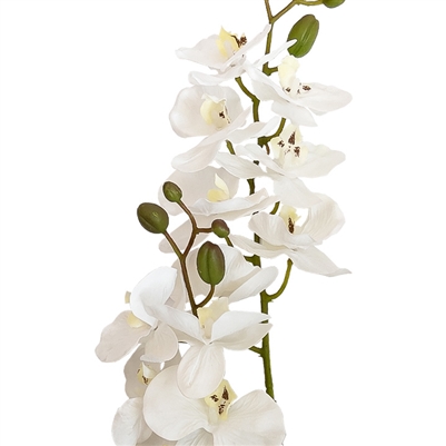 Artificial Real Touch Orchid - Double Spray with Leaves - White