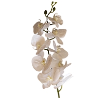 Artificial Orchid - Long Stem, Single Spray - White