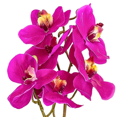 Artificial Real Touch Orchid - Single Spray with Leaves - Dark Purple