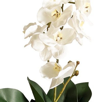 Artificial Real Touch Orchid - Single Spray with Leaves - White
