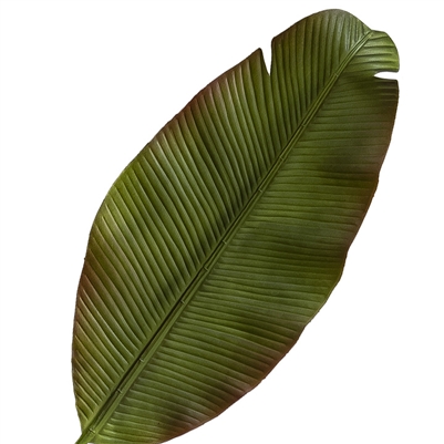 Artificial Real Touch Banana Leaf