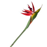 Artificial Real Touch Bird of Paradise Medium Red