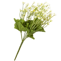 Small Bunch of White Wild Flowers