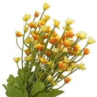 Small Bunch of Yellow and Orange Wild Flowers