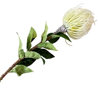 Artificial Pin Cushion Protea - White