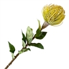 Artificial Pin Cushion Protea - Yellow