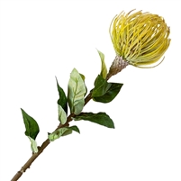 Artificial Pin Cushion Protea - Yellow