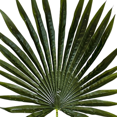 Artificial Real Touch Palm Leaf Medium