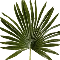 Artificial Real Touch Palm Leaf Small