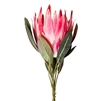 Artificial Large Protea - Dark Pink