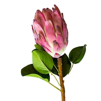 Artificial Large Mink Protea/Protea Bud - Pink