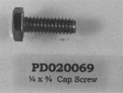 PD020069  1/4 X 3/4 SS CAP SCREW