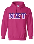 Pullover Hooded Sweatshirt with 4.5-Inch Greek Letters