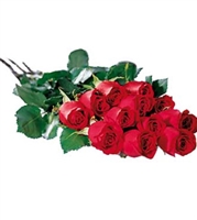 One Dozen Red Roses Boxed