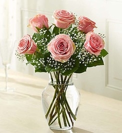 Six Pink Roses in a Vase