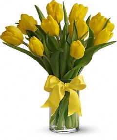 Sunny Yellow Tulips