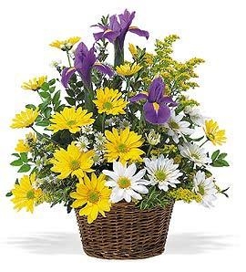 Smiling Spring Basket